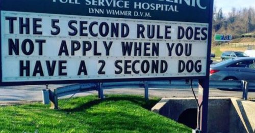 Think Vets Don’t Have A Sense Of Humor? Check-Out These 13 Signs