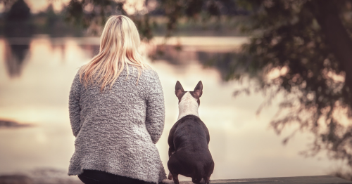 9 Ways To Tell Your Dogs You Love Them In Their Own Language