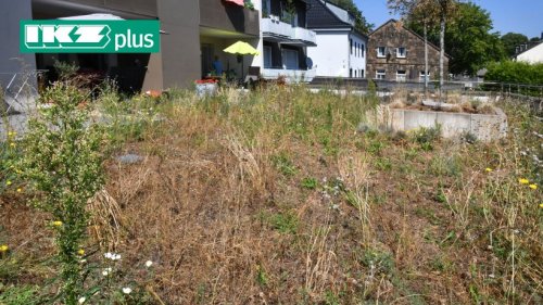 Stadt Bochum begrünt Dach: Ein Jahr später ist vieles vertrocknet