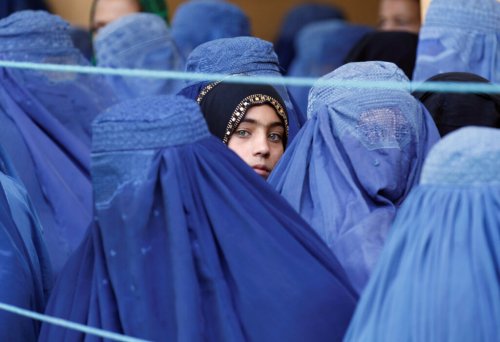 I talebani annunciano di aver eradicato il papavero d'oppio
