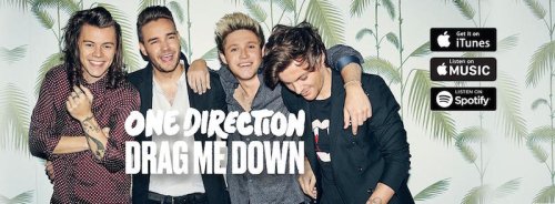 Drag me Down, la nuova canzone degli One Direction senza Zayn Malik - Il Post