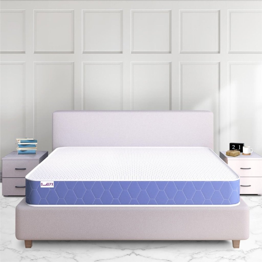 SleepX cover image
