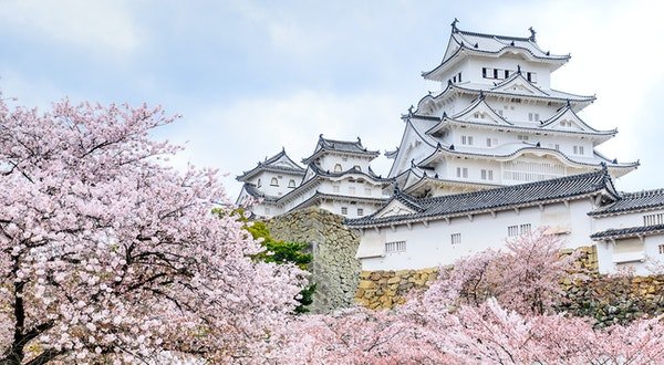 The Everything Guide to Cherry Blossom Season in Japan