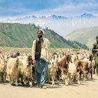 Pakistan Travel Stories - Lonely Planet