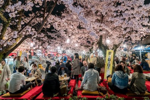 The best times to visit Japan, from cherry blossom season to Mt Fuji hikes