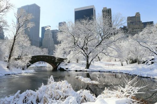 Six reasons New York is best after New Years – Lonely Planet
