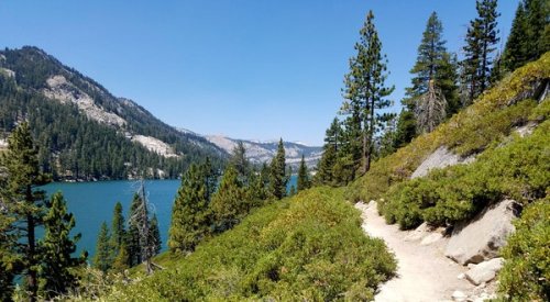 Discover Lake Tahoe on Foot With These Incredible Hikes