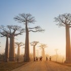 Madagascar Travel Stories - Lonely Planet