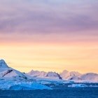Antarctica Travel Stories - Lonely Planet