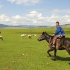 Mongolia Travel Stories - Lonely Planet