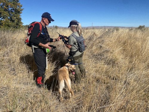 With dogs and radar, volunteers search for remains at Mool-Mool, or Fort Simcoe State Park
