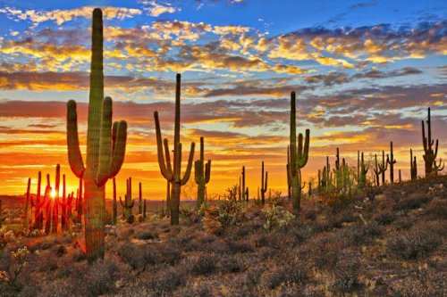 Introducing Arizona’s national parks and monuments - Lonely Planet