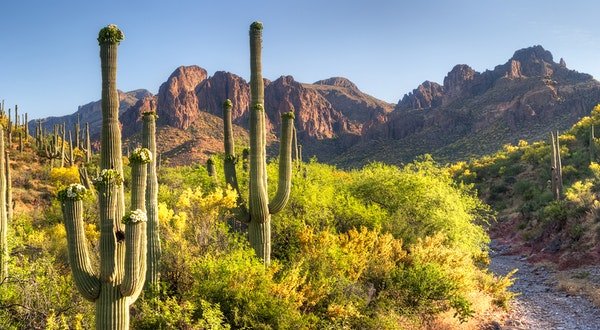 7 U.S. National Parks That Shine in the Spring