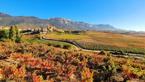 A definitive guide to Spain's wine regions