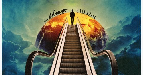 Will Natural Resilience Leave Humans Behind On The Escalator To Extinction? | NOEMA