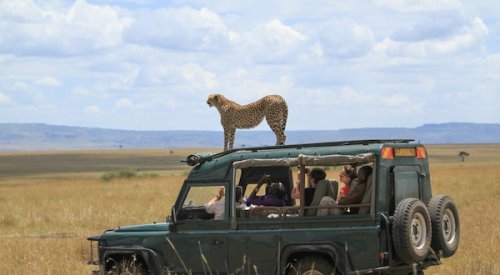 Trips For The Wildlife Lovers 
