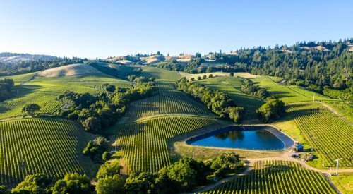 Where to Go Winetasting in Napa Valley