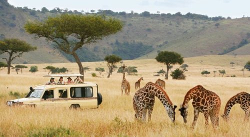 3 Great Countries in Africa for a First-Time Safari in 2022