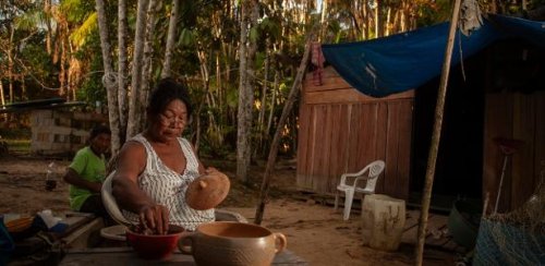 Cerâmica Tukano dá pistas sobre o manejo da floresta amazônica