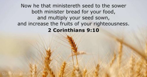 Fruits Of Righteousness | Immanuel Conrad Ministries