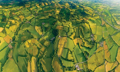 Who owns England? History of England's land ownership and how much is privately owned today
