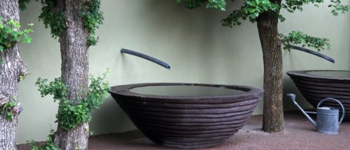 Saving water in garden design