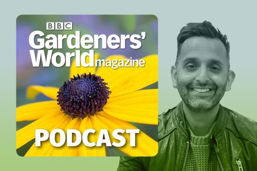 Gardening to boost your wellbeing - with Dr Amir Khan