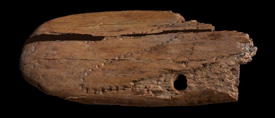 Earliest evidence of humans decorating jewellery unearthed in Polish cave
