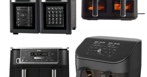 Best dual air-fryers to buy in 2024, tried and tested by reviews experts