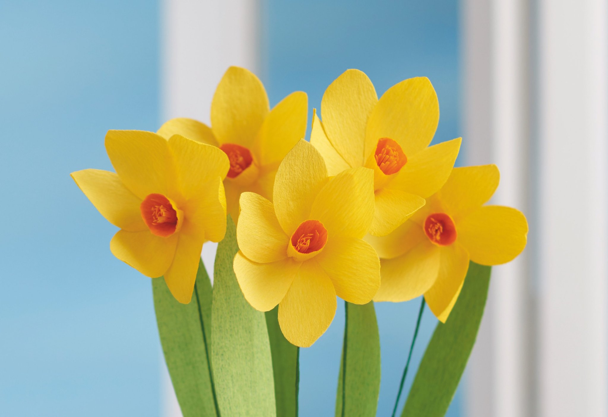 How to make paper daffodils