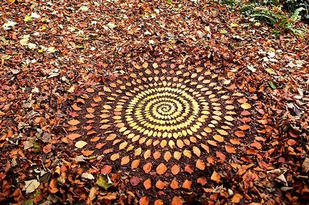 How to create beautiful nature art using leaves and stones