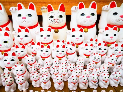 Gotokuji-Tempel - Willkommen im Winkekatzen-Tempel - Immer auf Reisen