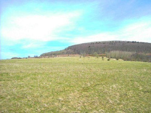 Dolmar – eine spätwinterliche Wanderung auf dem Ausläufer der Rhön
