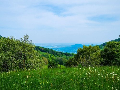 Randecker Maar - Der Schwäbische Vulkan - Immer auf Reisen