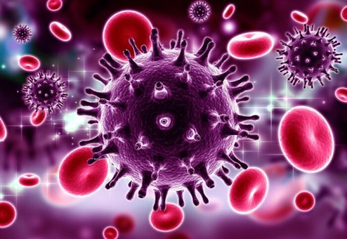 Immune response may be harnessed to control HIV, RIO study shows