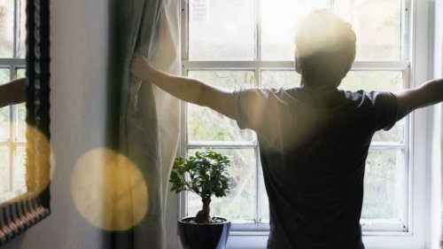 This Simple Morning Ritual Primes Your Brain for Success