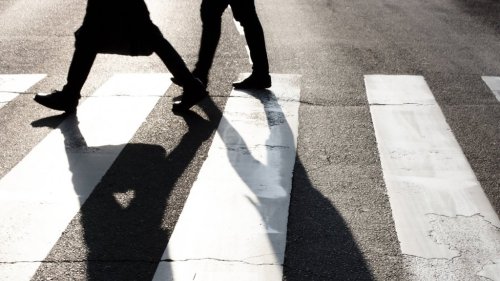 Neuroscientist: Walking Is 'a Superpower' That Makes Us Smarter, Healthier and Happier