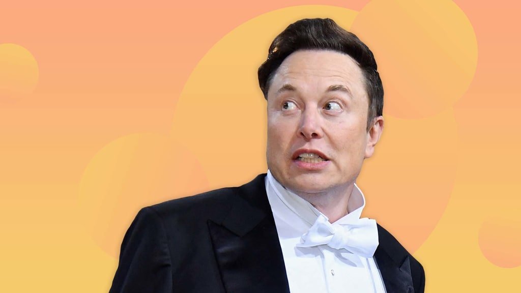 Elon - cover