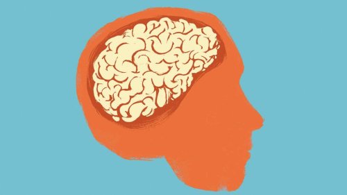 Ways to Train Your Brain to Get What You Want