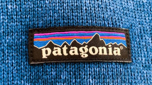 Patagonia Was Just Ranked the Most Respected Brand. This Unconventional Idea From Its Founder Explains Why