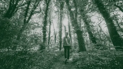 Psychologists Discovered This Simple Visualization Exercise Kills Stress in Just 5 Minutes