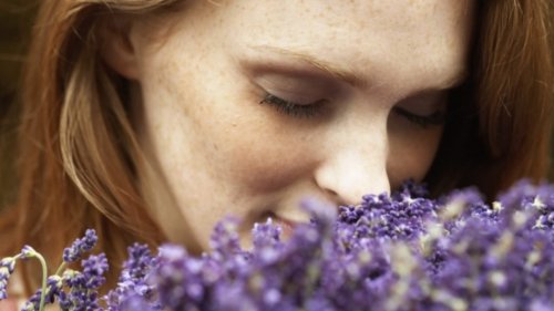 Can You Smell Your Way to a Better Brain? Science Says Yes.