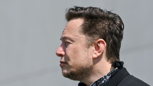 Elon Musk’s 5-Word Response to a User Suggestion Is a Bad Sign for Tesla Owners