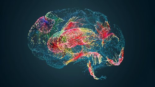 The Science of Why You're Already Forgetting All Your Covid Memories