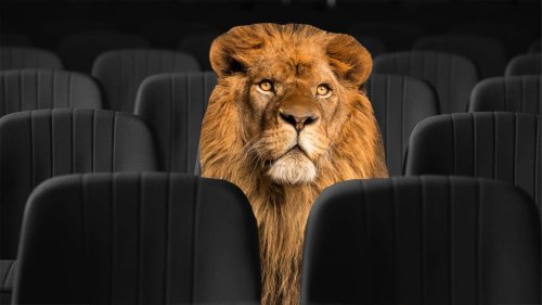 Use This Comedian's Brilliant Lion Trick to Kill Stage Fright and Create Instant Charisma