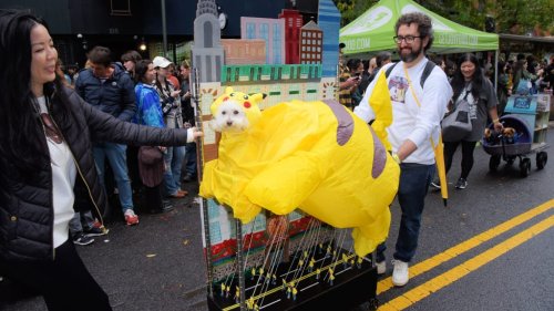 How a Small Connecticut Pet Brand Saved a New York City Dog Parade