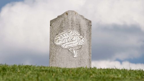 neuroscience-says-this-might-be-what-happens-to-your-brain-when-you-die