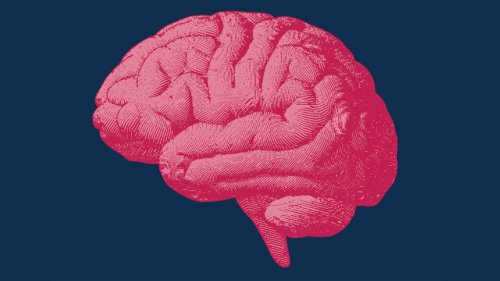 The Research-Backed, 3-Step Method to Hack Your Brain, Break Bad Habits, and Make Better Decisions