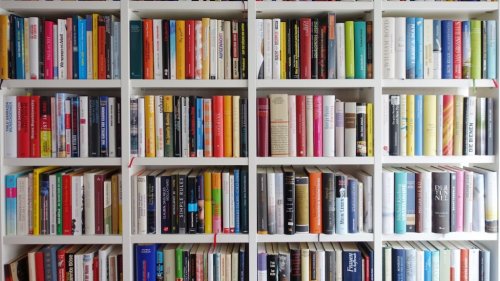 Why Reading Books Should Be Your Priority, According to Science