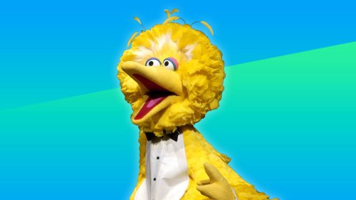How People With High Emotional Intelligence Use the Big Bird Rule to Become Exceptionally Successful